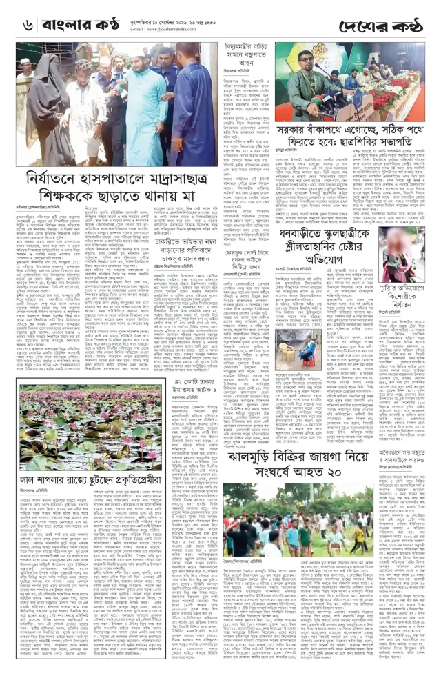 Page-6